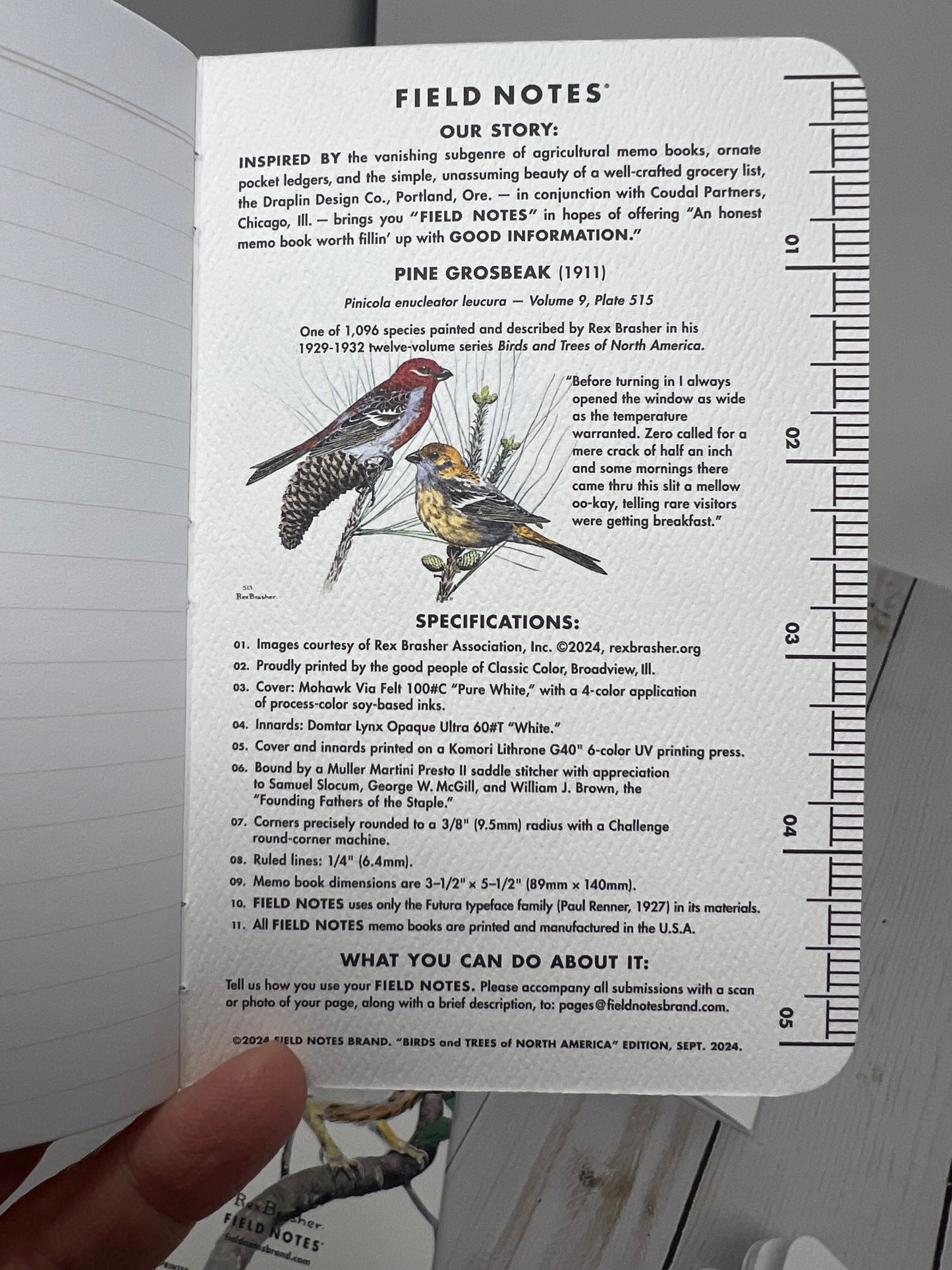 Field Notes “The Birds and Trees of North America” Pack “B”, set of 3 ruled notebooks