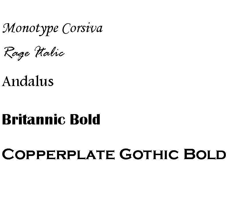 Pocket Plus Leather Traveler's Notebook, Ebony Harness,  for 3.5" x 5.5" inserts (not included)