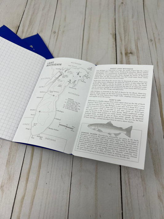 Field Notes: Original Ruled 5-Pack