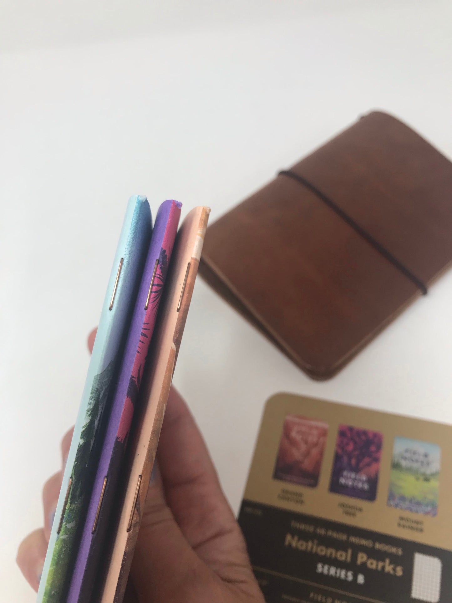 Field Notes: National Parks, Series B- Grand Canyon, Joshua Tree, Mount Rainier
